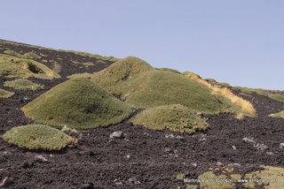 rra delle Concazze-05-08-2014 15-02-08